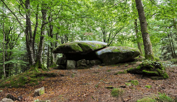 Dolmen Chevresse situé dans la forêt de Breuil-Chenue