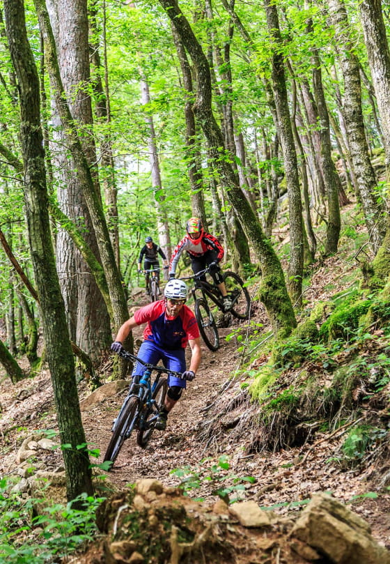 Descente sportive au guidon de VTT des pentes du Morvan