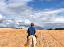 Balade à cheval dans les champs