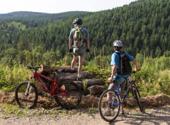 Vététistes admirant les paysages du Morvan