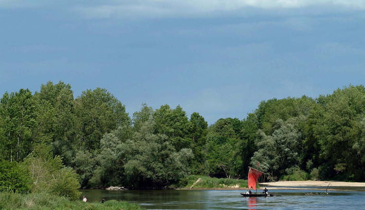 Pique-nique sur les bords de Loire au Bec d'Allier
