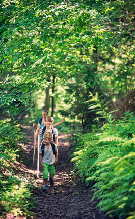 Randonnée en famille dans les forêts de la Nièvre