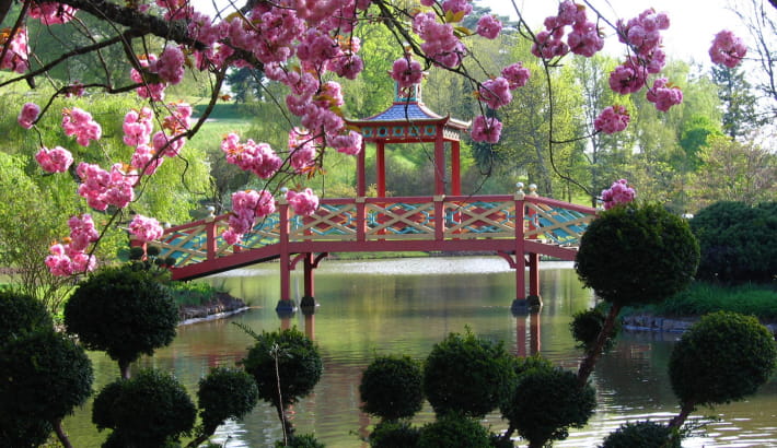 Le pont chinois avec son toit en écailles dans le Parc floral d'Apremont