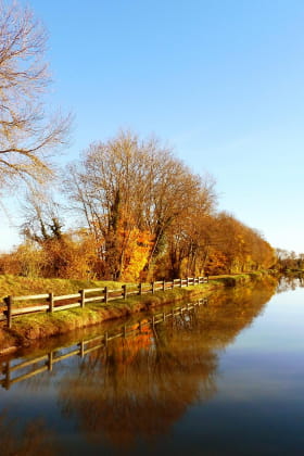 Canal latéral à la Loire en automne