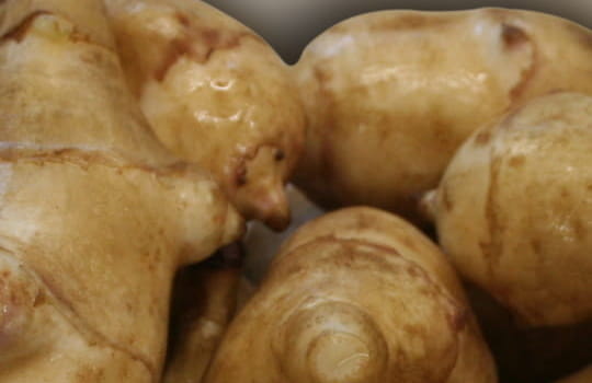 Légumes héliantis