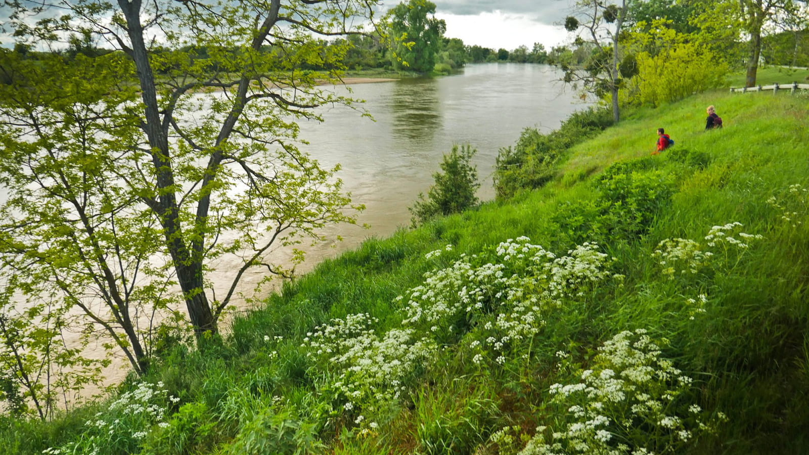 Randonnée en bord de Loire