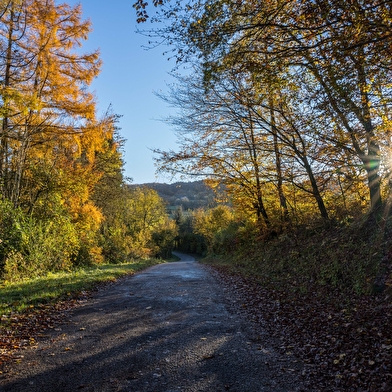 Location de vélos électriques Au Cyclo DéChaîné