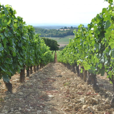 Les Hauts de Seyr