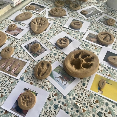 Atelier nature : En piste !