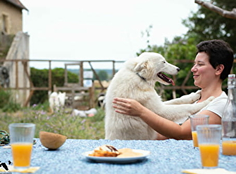 Wood'Cie Ranch Canin - CHEVENON