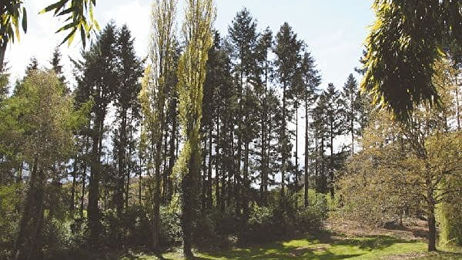 Une journée artistique au Pays Nivernais Morvan