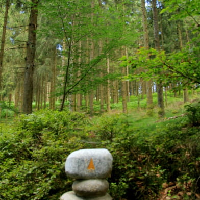 A la découverte du Haut Folin