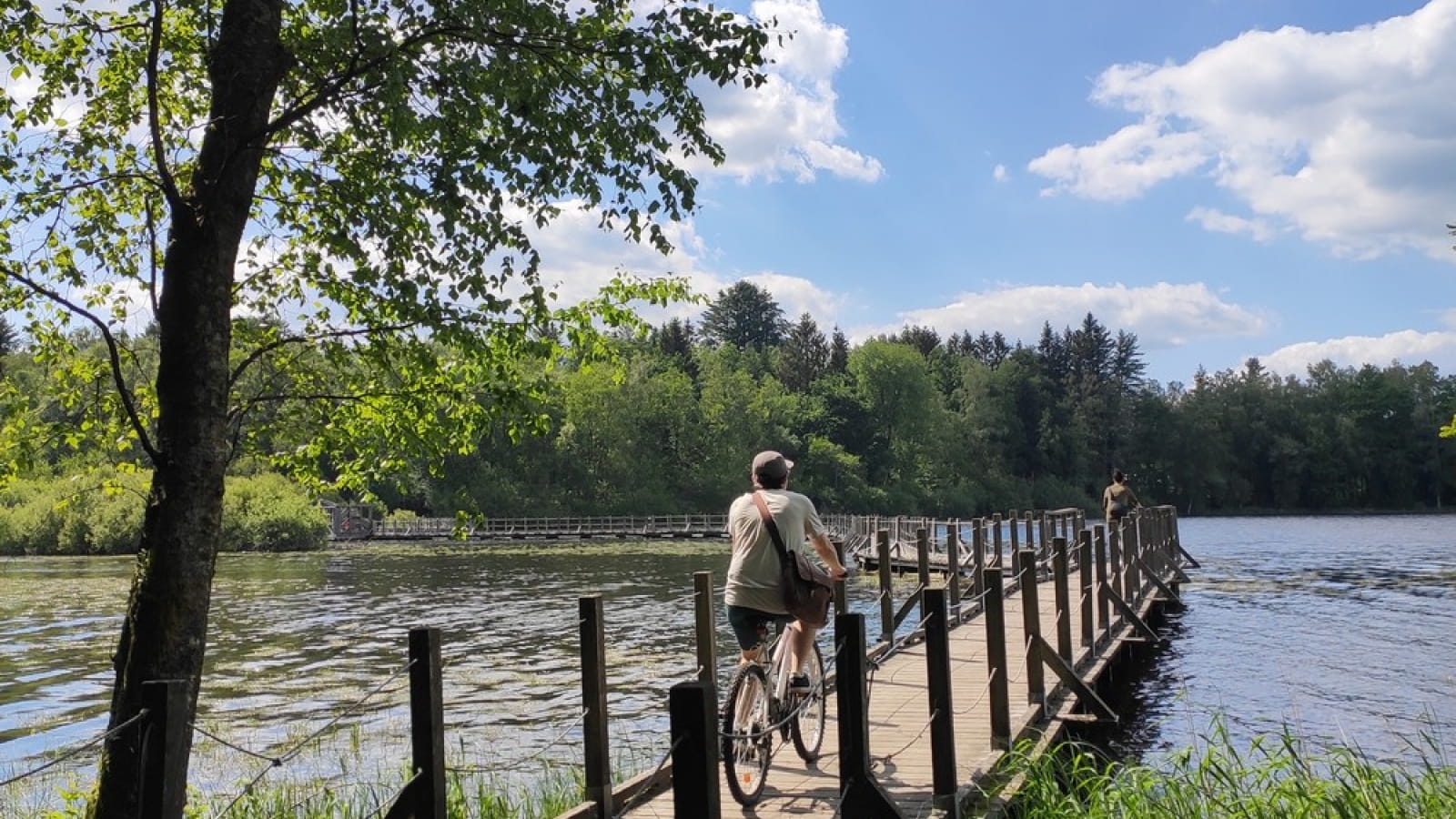 Location de VTT au Domaine de la Cabane Verte