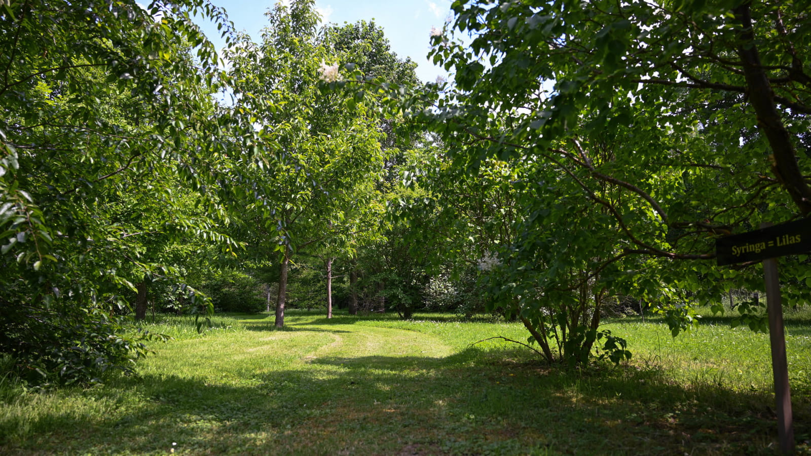 Visite guidée exceptionnelle à l'Arboretum d'Adeline