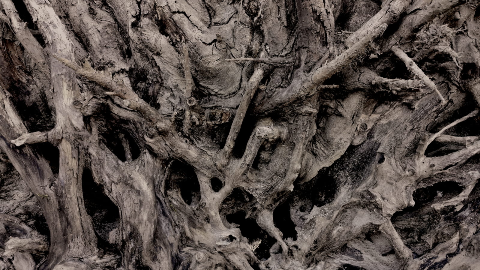Septième Cercle : exposition photographique de Régis Perrot au musée de Bibracte
