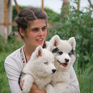 Journée porte ouverte -  Chiens Iakoutes
