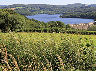 Balade nature au cœur du Morvan : le lac de Pannecière - CHAUMARD
