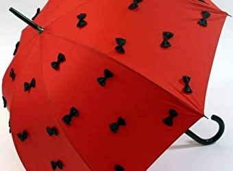 Guy de Jean créateur de parapluies et d'ombrelles - DONZY