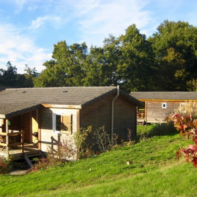 Chalets de Chalaux - Campanule