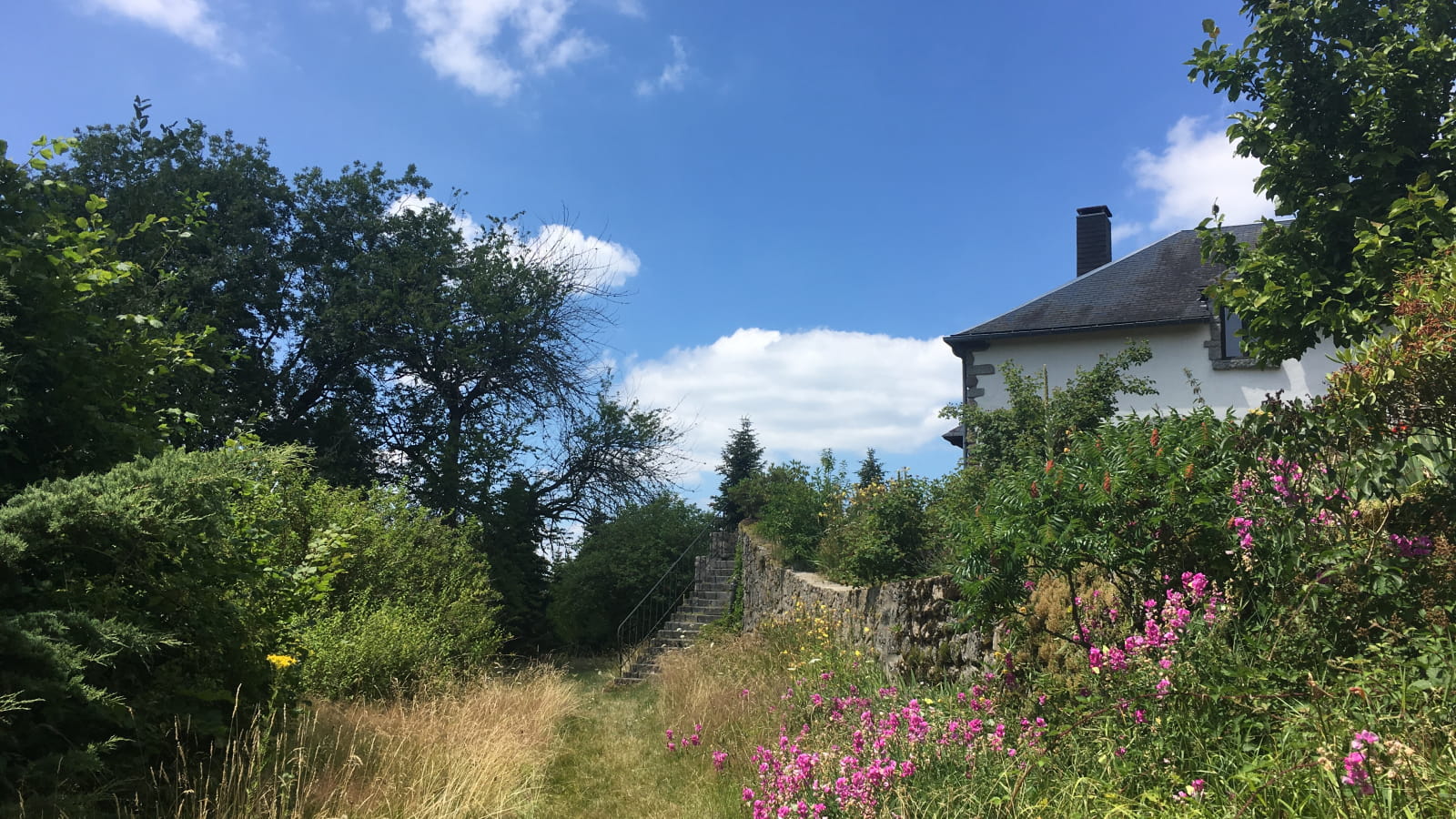 Chambres d'hôtes la Corne au Cerf