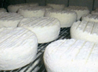 Fromagerie de Neuftables - LUTHENAY-UXELOUP