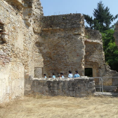 Ruines de l'ancien château des Comtes de Nevers