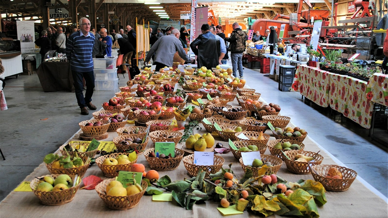 Marché du Terroir et Randonnée Octobre Rose à Saint-Loup-des-Bois