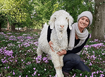 Atelier à la ferme autour des chèvres Angora et de la laine - TROIS-VEVRES