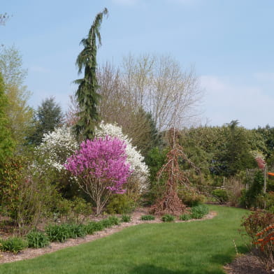 Arboretum Les Feuilles Fleuries
