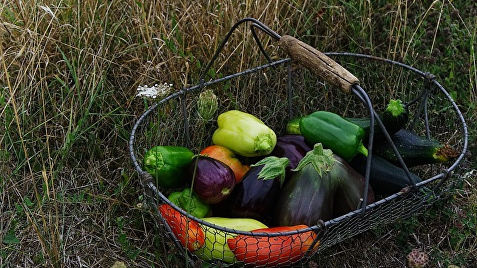 Marché de POUGUES LES EAUX