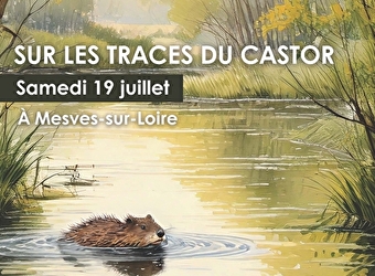 Sur les traces du castor - MESVES-SUR-LOIRE