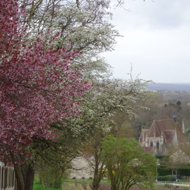 Visiter Saint-Père