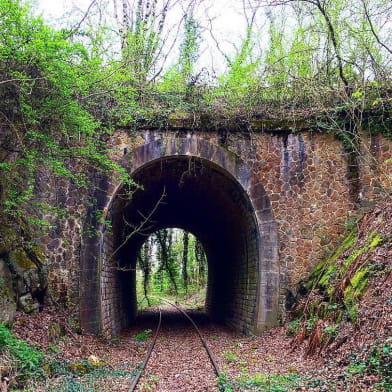 Vélorail du Bazois-Morvan