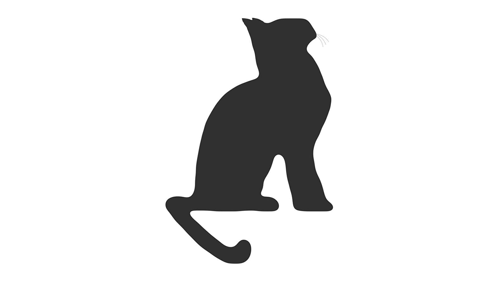 Le Chat Noir