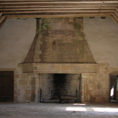 Chateau de la Motte Josserand