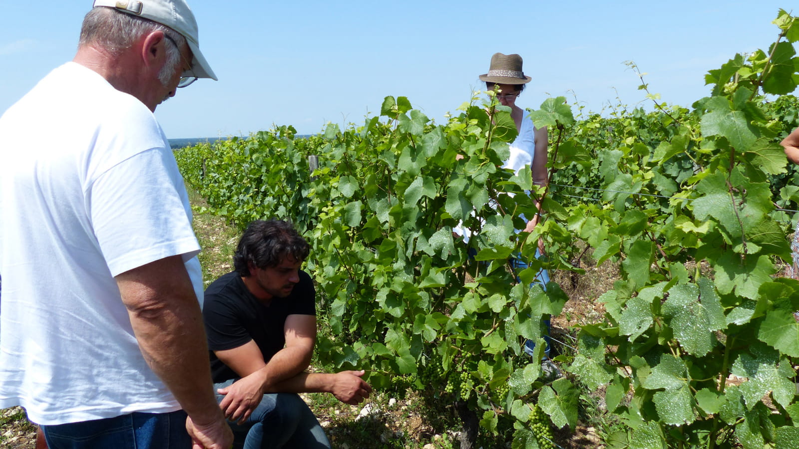 Visite de la cave et du vignoble 'La Perrine' 