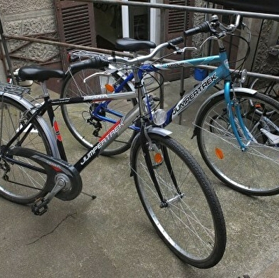 Cycles Letellier, location de vélos