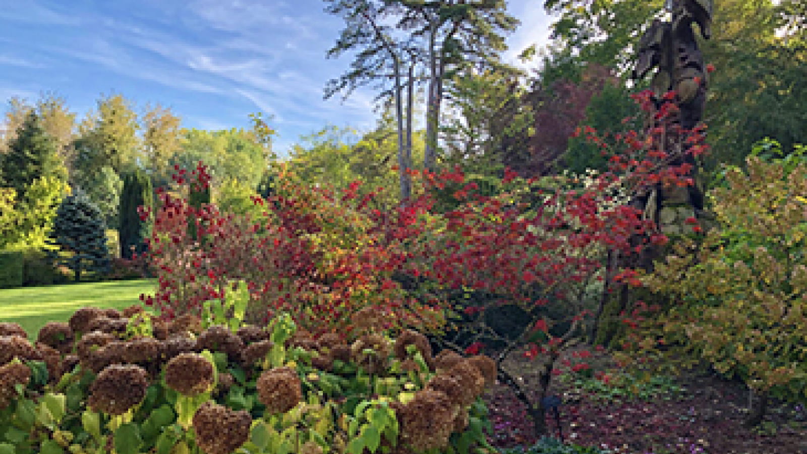 Jardin de Forgeneuve