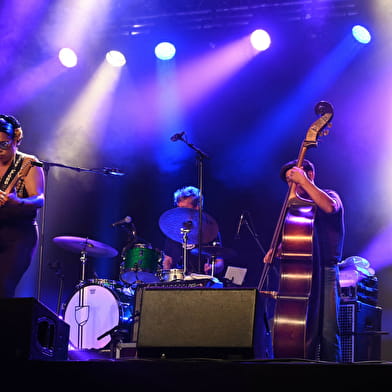 FESTIVAL BLUES EN LOIRE 
