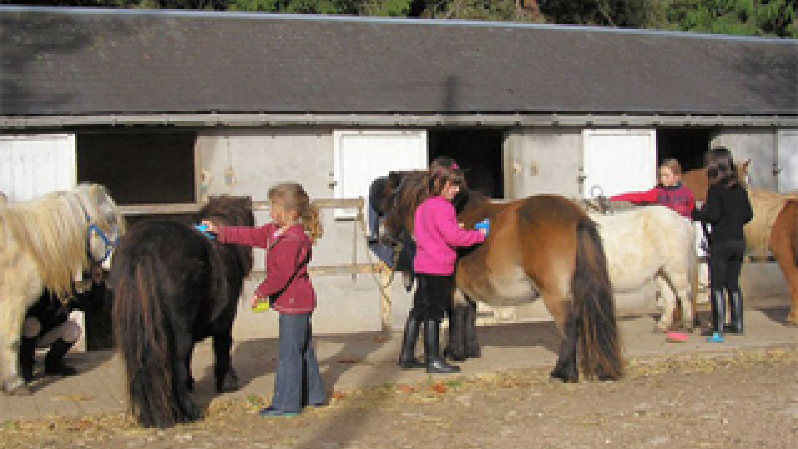 Poney Club et Centre Equestre de Prunevaux