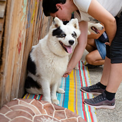 Wood'Cie Ranch Canin 