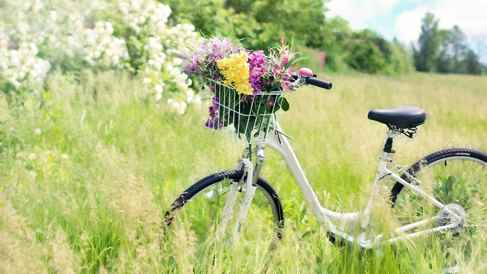 Atelier Luzycyclette at association la Bougeotte