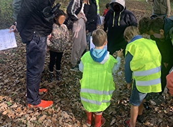 Sortie nature : Éloge de la biodiversité forestière - SAINT-BONNOT