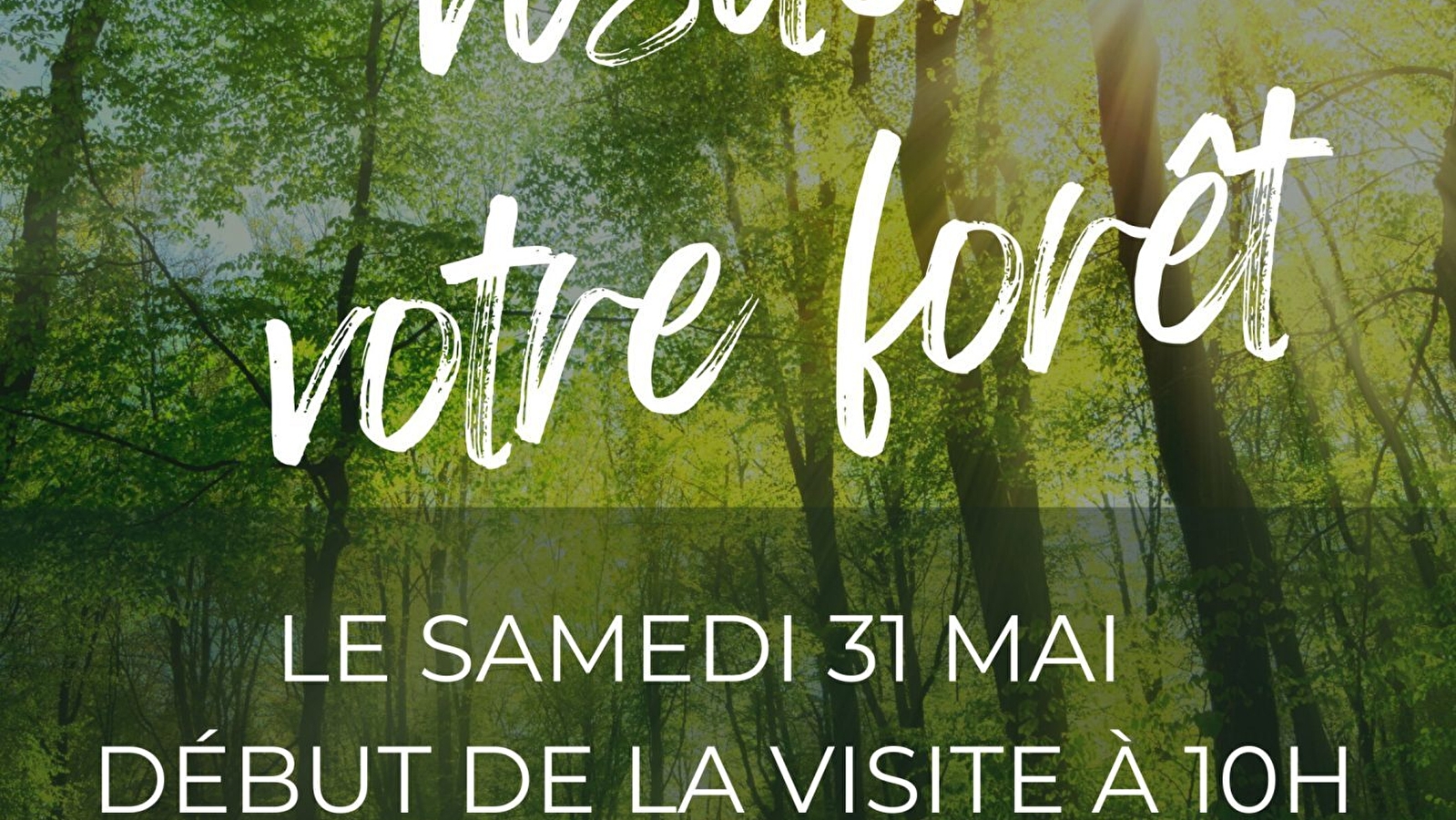 VENEZ VISITER VOTRE FORÊT