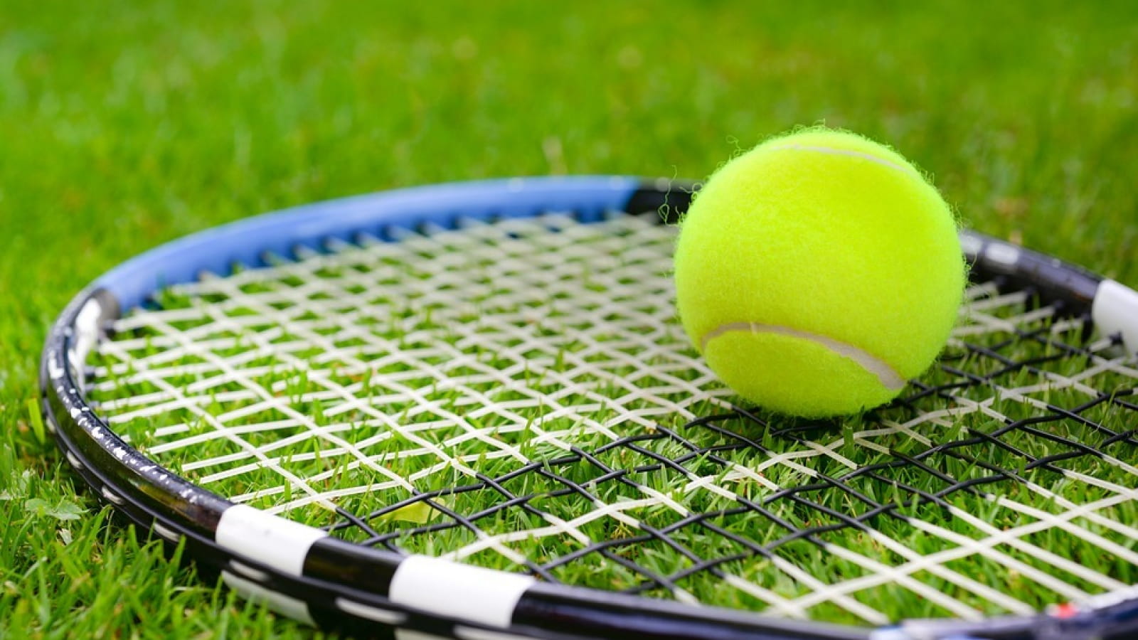 Tournoi de tennis adultes