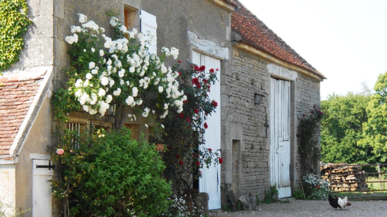 Chambres d'hôtes La Grange aux Poulains