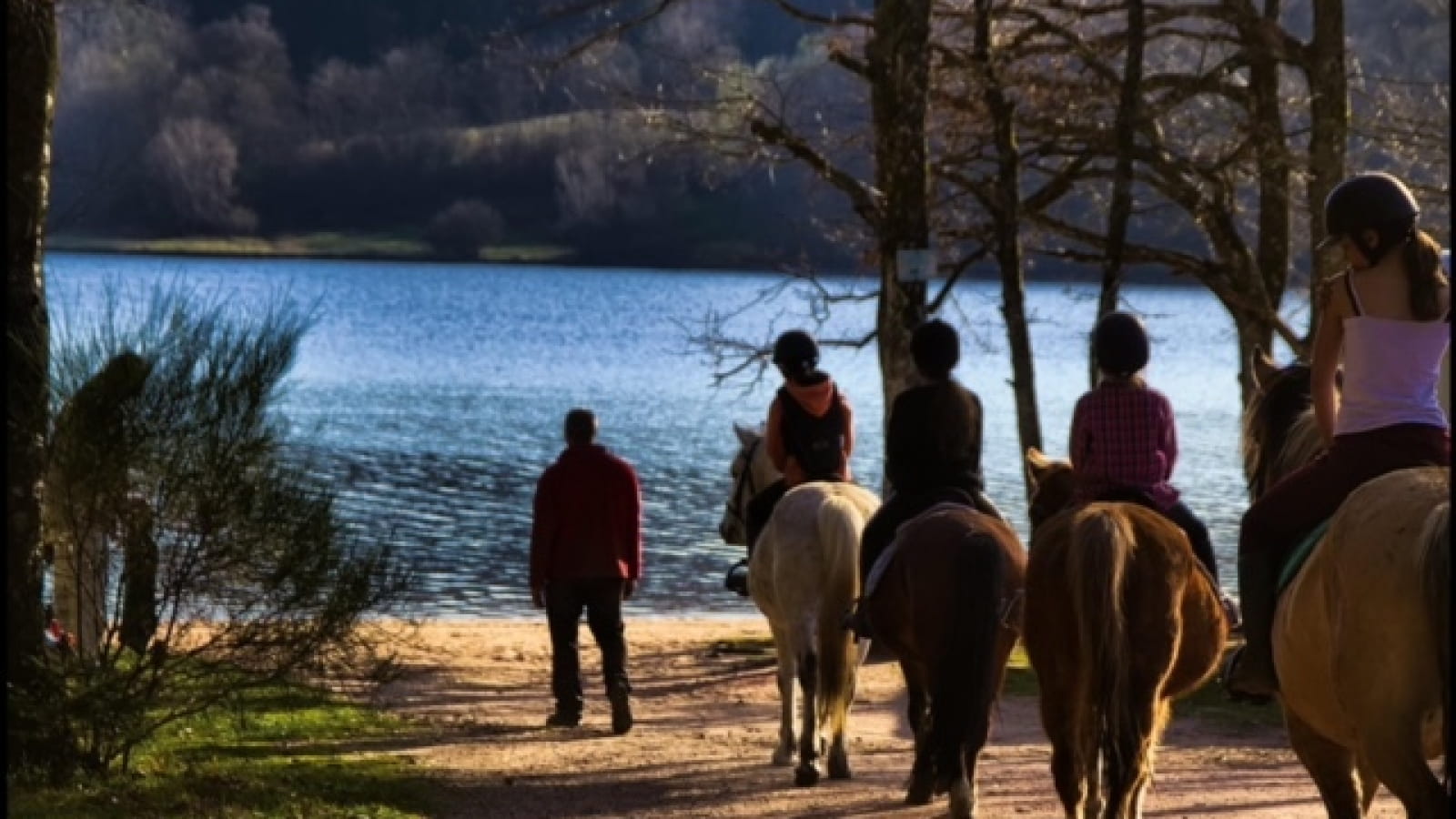 Majaz'L - Centre Equestre du Bois du Loup