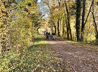 Location de vélos à assistance électrique à Cosne-Cours-sur-Loire - COSNE-COURS-SUR-LOIRE