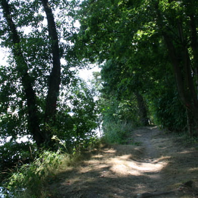 Île de Caqueret