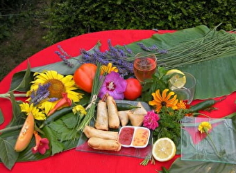 Le cocktail de Clémentine : cuisine exotique - LA CHARITE-SUR-LOIRE